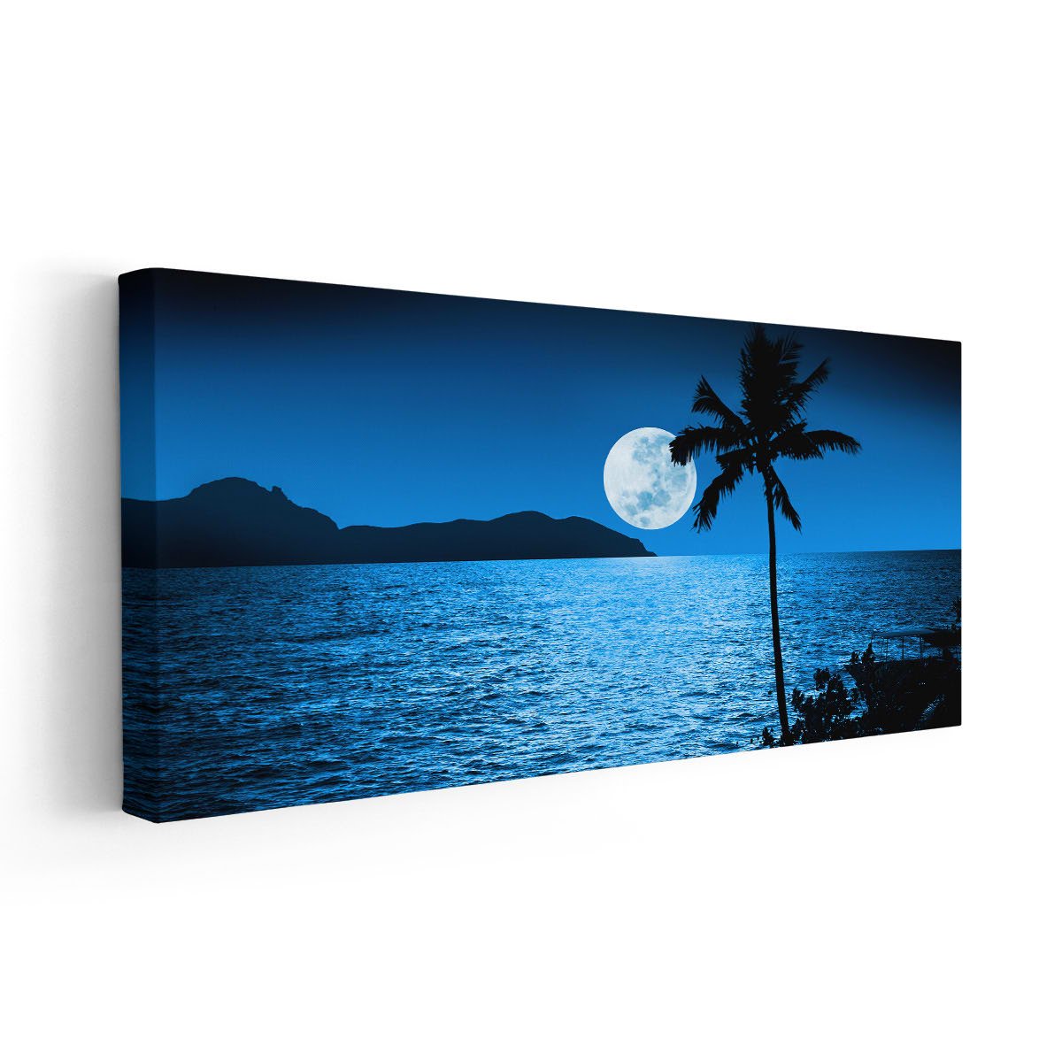 Fiji Moonlight Beach Wall Art Canvas-Stunning Canvas Prints