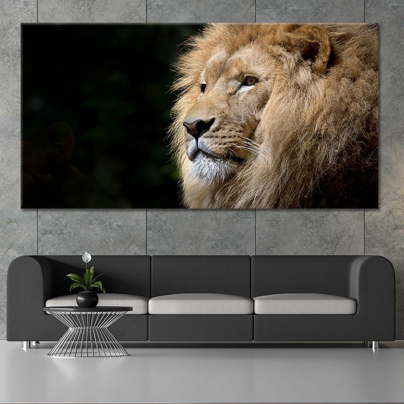 African Regal Lion Wall Art Canvas-Stunning Canvas Prints