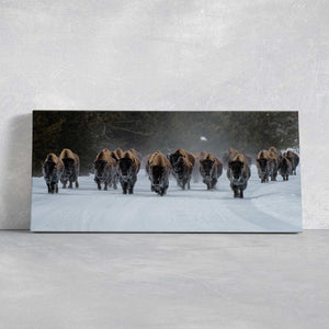 Herd Of Bison Wall Art Canvas Print-Stunning Canvas Prints