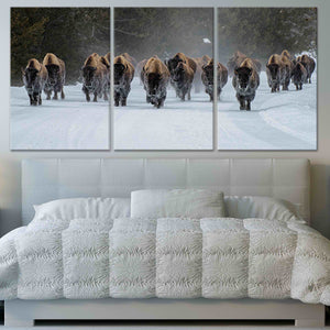 Herd Of Bison Wall Art Canvas Print-Stunning Canvas Prints