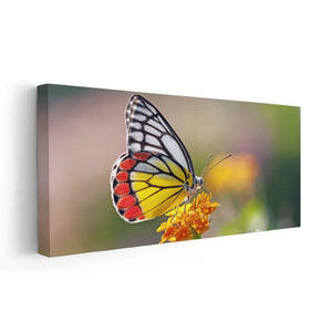 jezebel Butterfly Wall Art Canvas-Stunning Canvas Prints