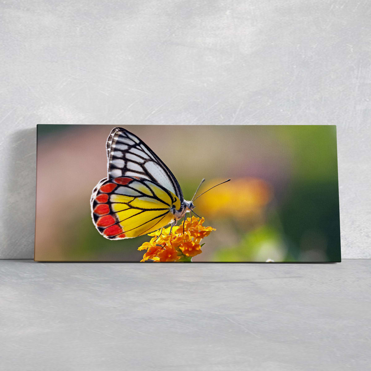 jezebel Butterfly Wall Art Canvas-Stunning Canvas Prints