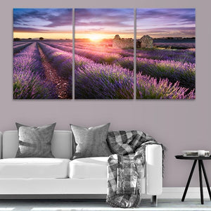 Lavender Field Sunset Wall Art Canvas-Stunning Canvas Prints