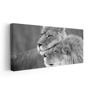 Black And White Loving Lions Wall Art Canvas-Stunning Canvas Prints