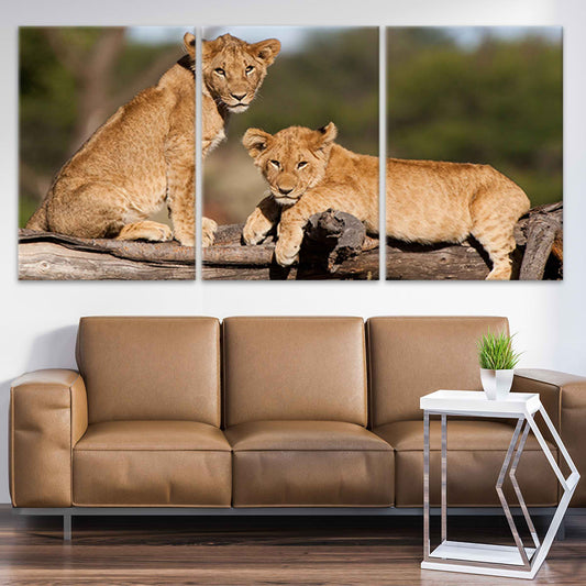 Cute Lion Cubs Wall Art Canvas-Stunning Canvas Prints