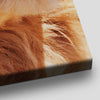 Majestic Lion Gaze Wall Art Canvas-Stunning Canvas Prints