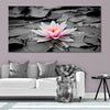 Lotus flower Wall Art Canvas Print-Stunning Canvas Prints