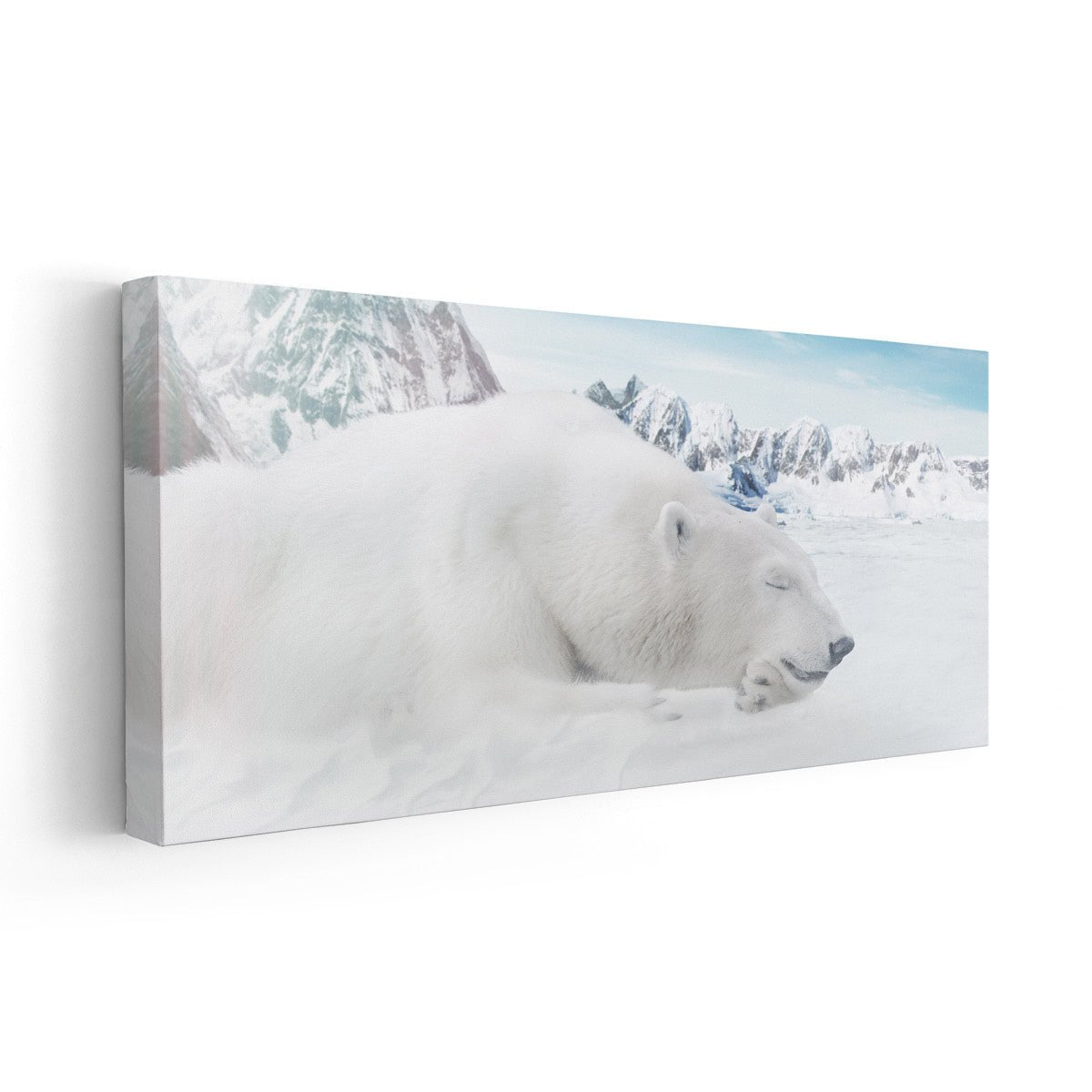 Sleeping Polar Bear Wall Art Canvas-Stunning Canvas Prints