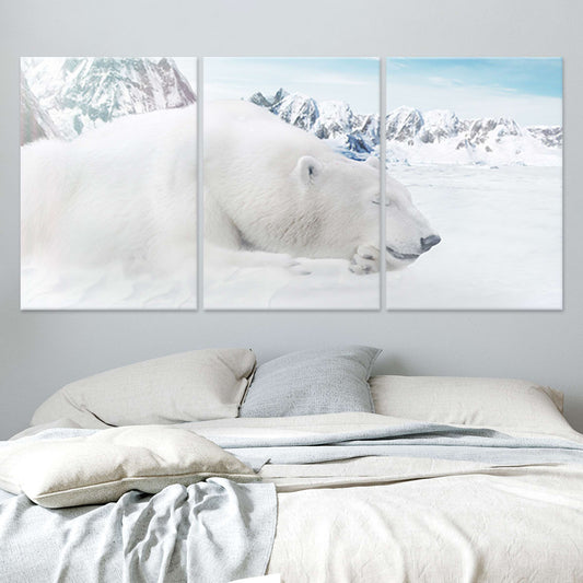 Sleeping Polar Bear Wall Art Canvas-Stunning Canvas Prints