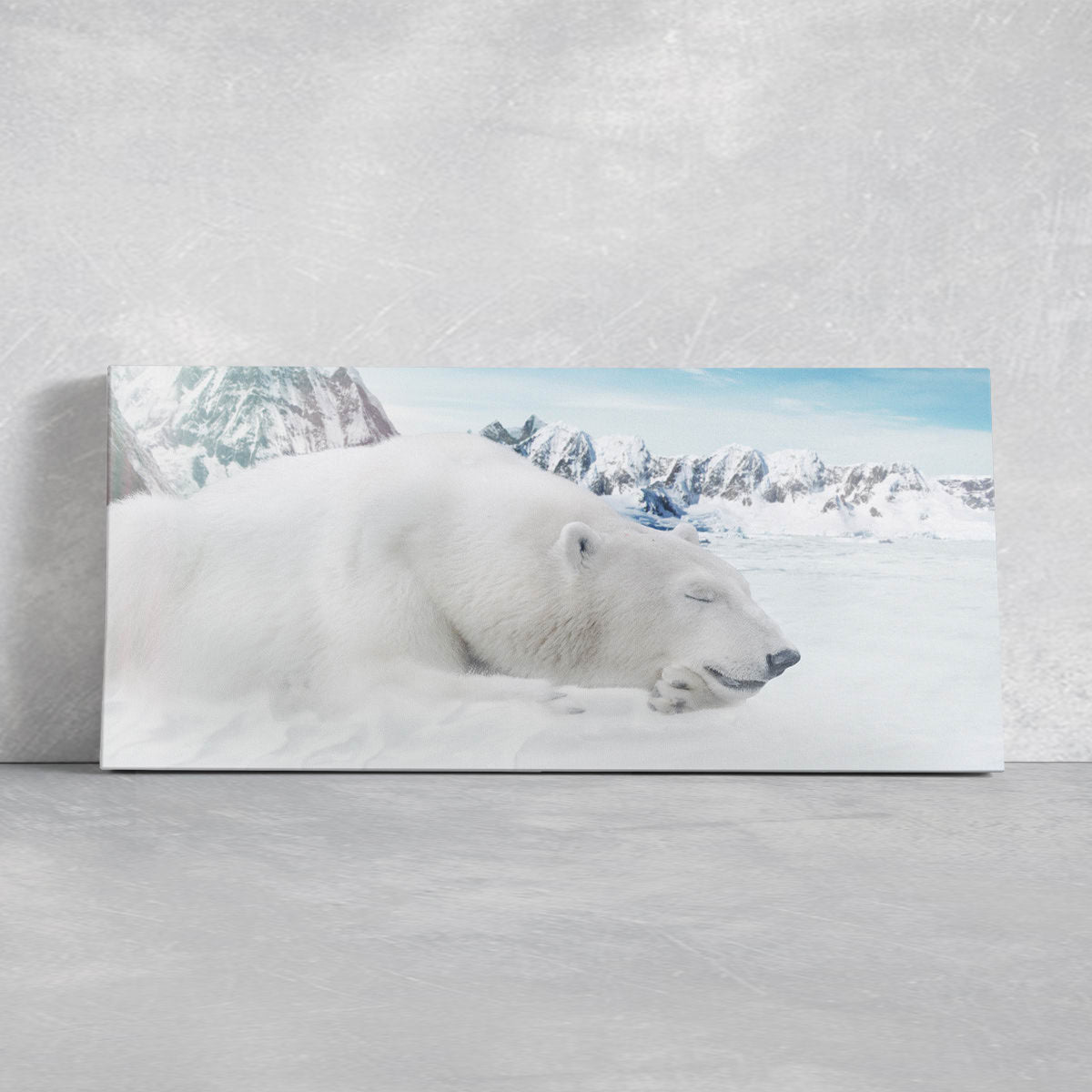 Sleeping Polar Bear Wall Art Canvas-Stunning Canvas Prints