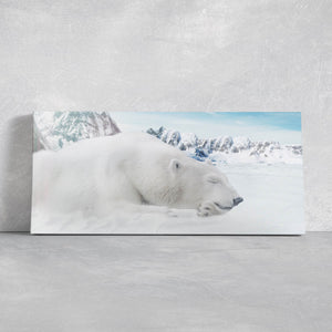 Sleeping Polar Bear Wall Art Canvas-Stunning Canvas Prints