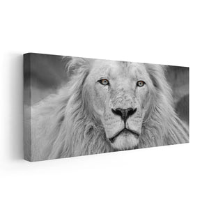 Black And White African Lion Wall Art Canvas-Stunning Canvas Prints