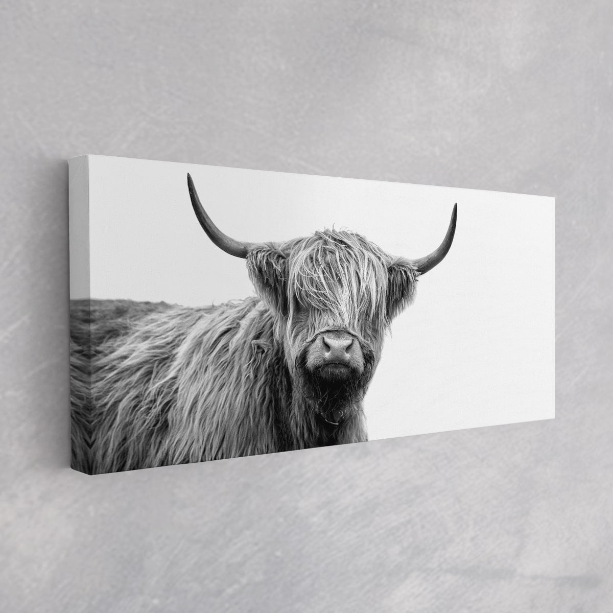 Highland Cow Wall Art | Paintings, Artwork & Framed Canvas Prints