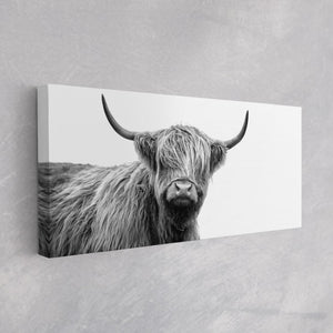 Highland Bull Canvas, Cattle Wall Art, Modern Farmhouse Canvas Wall Art