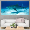 Tiger Shark Wall Art Canvas Print-Stunning Canvas Prints