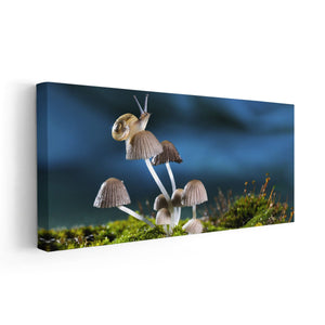 Roman Snail Wall Art Canvas-Stunning Canvas Prints