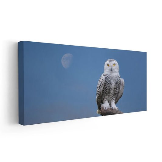 Majestic Owl Wall Art Canvas-Stunning Canvas Prints