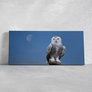 Majestic Owl Wall Art Canvas-Stunning Canvas Prints