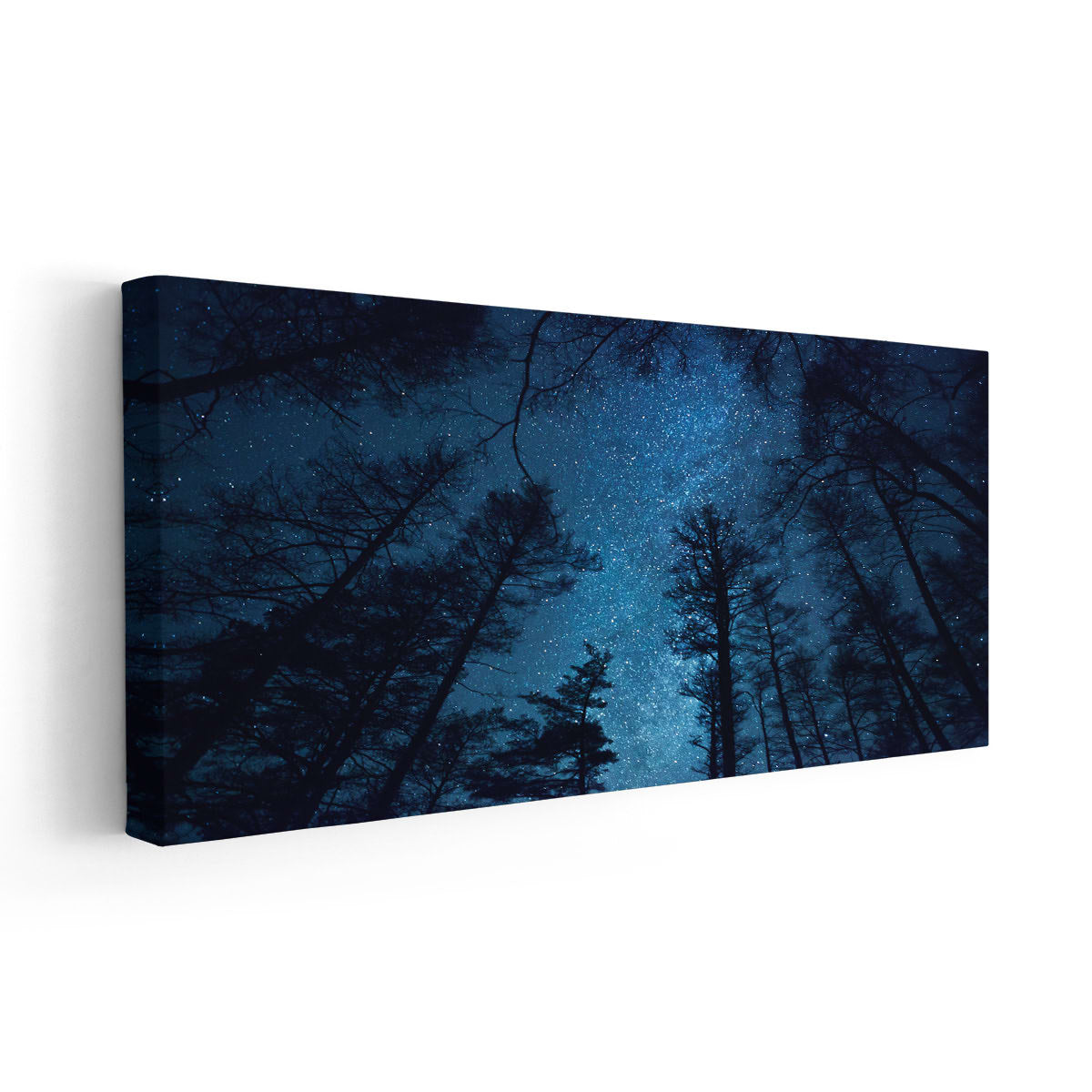 Starry Night Sky Wall Art Canvas-Stunning Canvas Prints