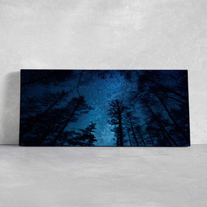 Starry Night Sky Wall Art Canvas-Stunning Canvas Prints