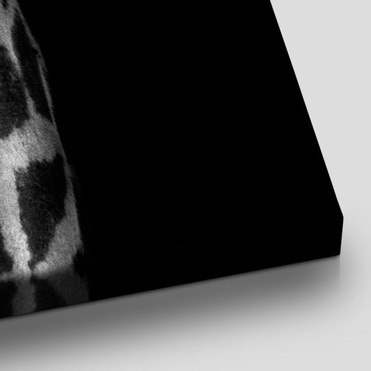 Black And White Giraffe Wall Art Canvas-Stunning Canvas Prints