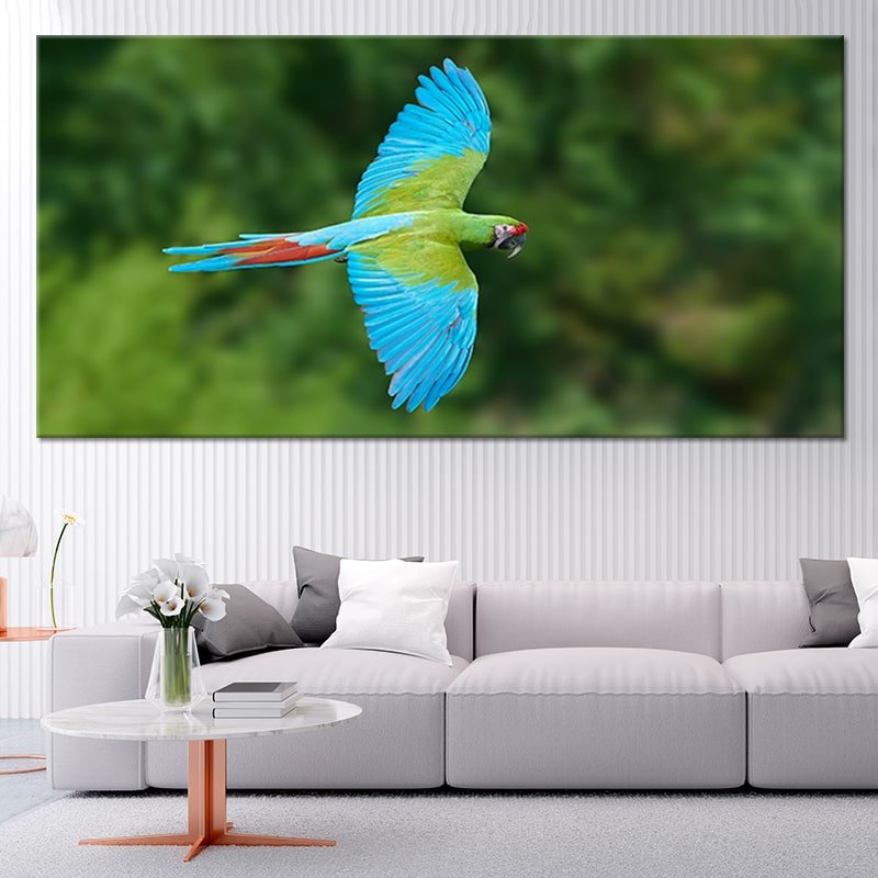 Tropical Parrot Wall Art Canvas-Stunning Canvas Prints