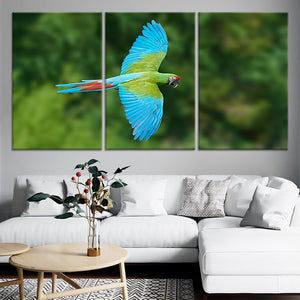 Tropical Parrot Wall Art Canvas-Stunning Canvas Prints