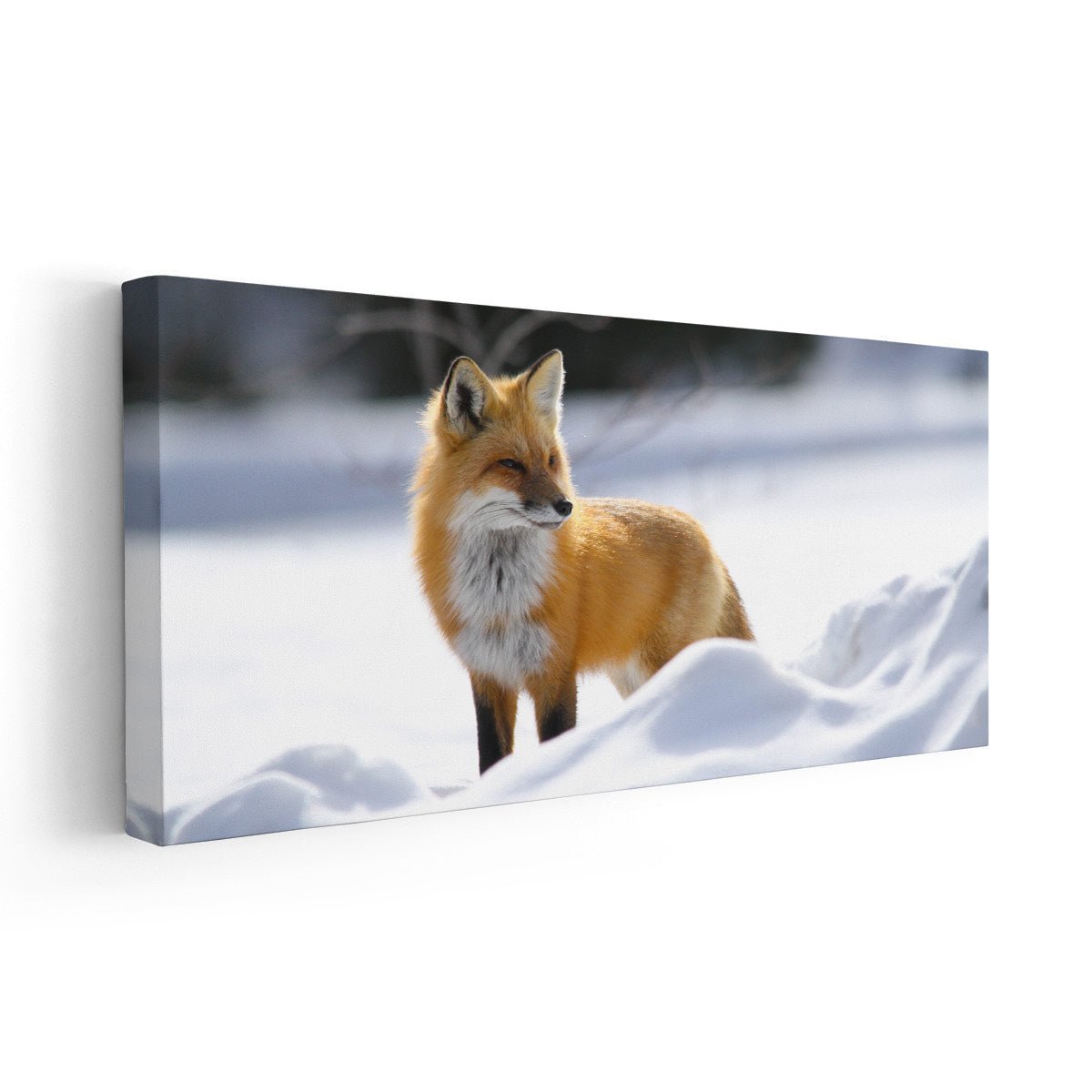 Wild Red Fox Wall Art Canvas-Stunning Canvas Prints