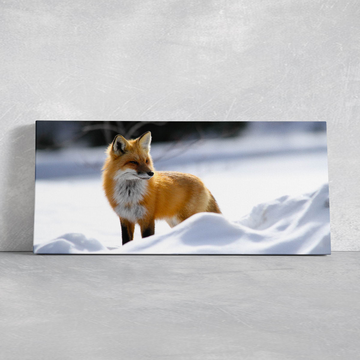 Wild Red Fox Wall Art Canvas-Stunning Canvas Prints