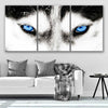 Blue Eyed Wolf Wall Art Canvas-Stunning Canvas Prints