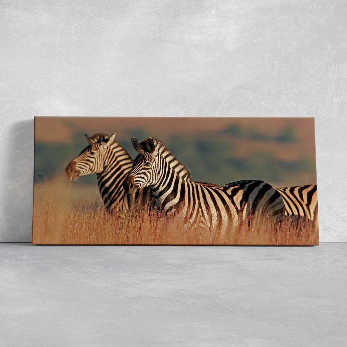 Wild African Zebras Wall Art Canvas-Stunning Canvas Prints