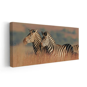 Wild African Zebras Wall Art Canvas-Stunning Canvas Prints