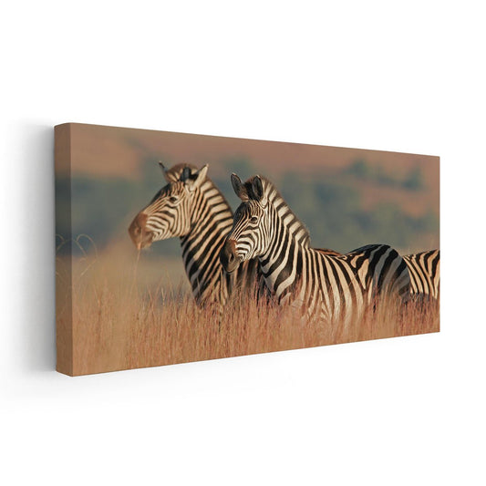 Wild African Zebras Wall Art Canvas-Stunning Canvas Prints